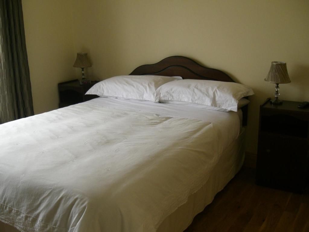Отели типа «постель и завтрак» Ashley Lodge Bed & Breakfast Рослэр-39
